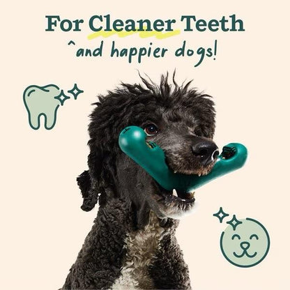 Woof Bite n' Brush Starter Pack
