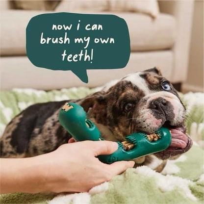 Woof Bite n' Brush Starter Pack